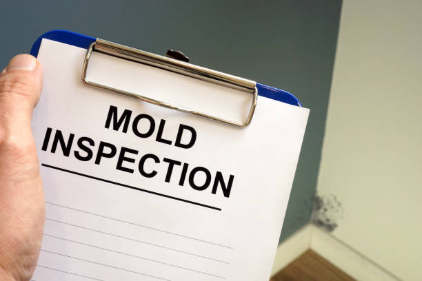 Best Black Mold Removal  in Selma, AL